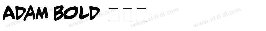 Adam Bold字体转换
